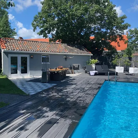 Finch Zandvoort